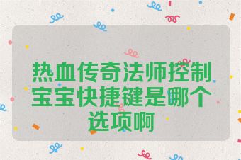 热血传奇法师控制宝宝快捷键是哪个选项啊
