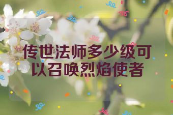 传世法师多少级可以召唤烈焰使者