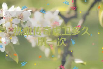 热血传奇虎卫多久刷一次