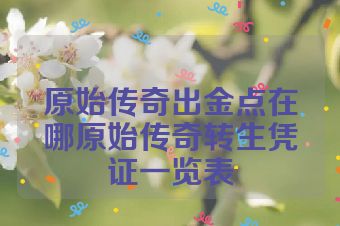 原始传奇出金点在哪原始传奇转生凭证一览表
