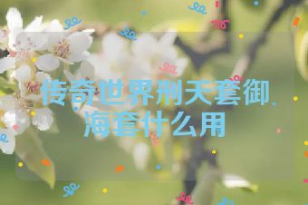 传奇世界刑天套御海套什么用