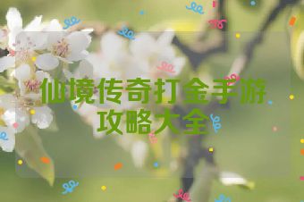仙境传奇打金手游攻略大全