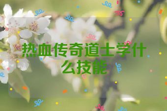 热血传奇道士学什么技能