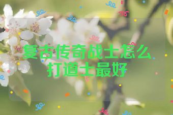 复古传奇战士怎么打道士最好