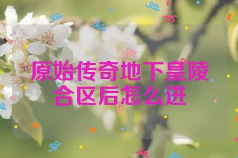 原始传奇地下皇陵合区后怎么进