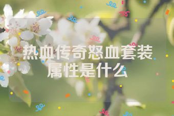 热血传奇怒血套装属性是什么