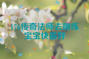 176传奇法师去哪练宝宝快最好