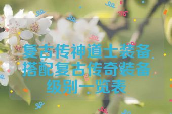 复古传神道士装备搭配复古传奇装备级别一览表