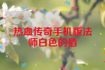 热血传奇手机版法师白色的盾