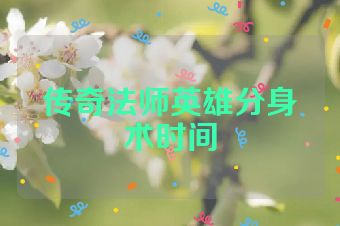 传奇法师英雄分身术时间