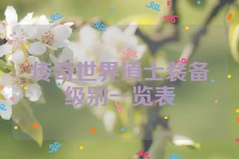 传奇世界道士装备级别一览表