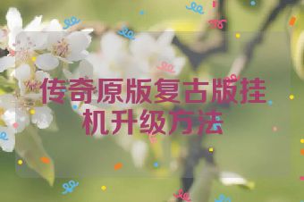 传奇原版复古版挂机升级方法