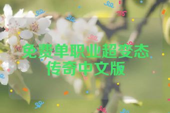 免费单职业超变态传奇中文版