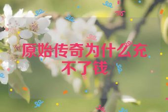 原始传奇为什么充不了钱