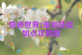 奇迹世界2重炮技能加点攻略图