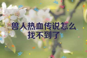 兽人热血传说怎么找不到了
