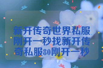新开传奇世界私服刚开一秒找新开传奇私服80刚开一秒