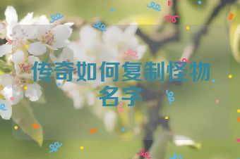 传奇如何复制怪物名字
