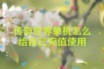 传奇世界单机怎么给自己充值使用