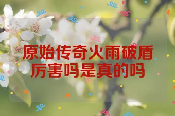 原始传奇火雨破盾厉害吗是真的吗