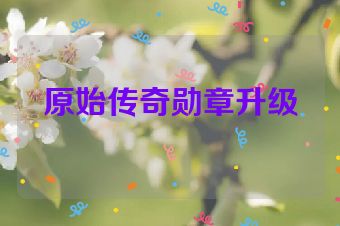 原始传奇勋章升级