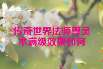 传奇世界法师兽灵术满级效果如何