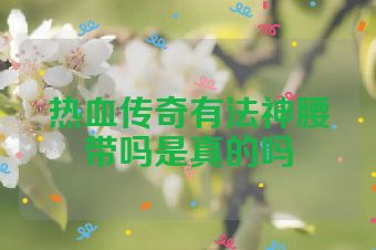 热血传奇有法神腰带吗是真的吗