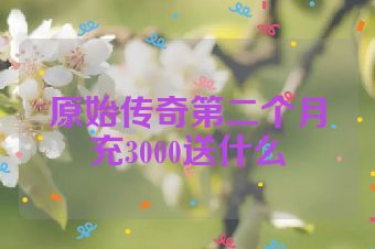 原始传奇第二个月充3000送什么