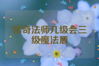 传奇法师几级会三级魔法盾