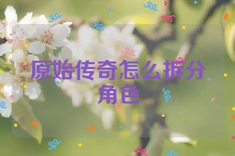 原始传奇怎么拆分角色
