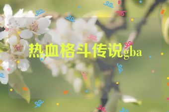 热血格斗传说gba