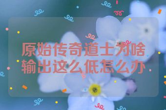 原始传奇道士为啥输出这么低怎么办