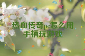 热血传奇pc怎么用手柄玩游戏