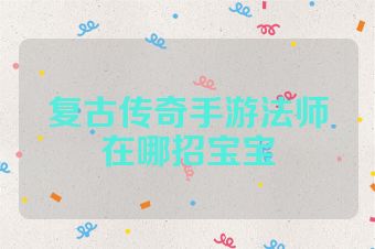 复古传奇手游法师在哪招宝宝