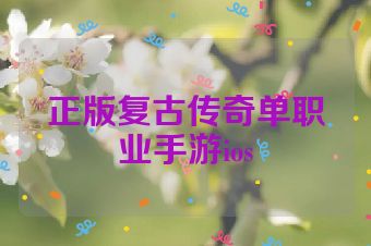 正版复古传奇单职业手游ios