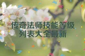 传奇法师技能等级列表大全最新