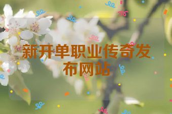 新开单职业传奇发布网站
