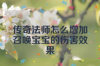 传奇法师怎么增加召唤宝宝的伤害效果