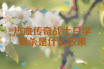 热血传奇战士只学刺杀是什么效果