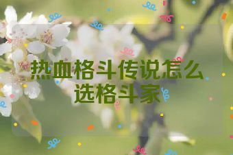 热血格斗传说怎么选格斗家