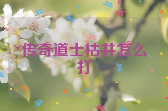 传奇道士枯井怎么打