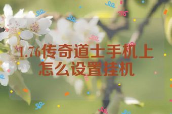 1.76传奇道士手机上怎么设置挂机