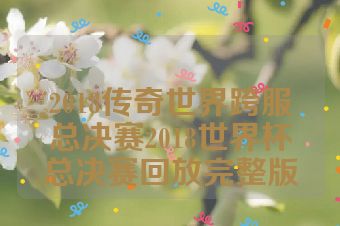 2018传奇世界跨服总决赛2018世界杯总决赛回放完整版