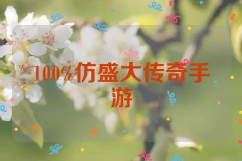 100%仿盛大传奇手游