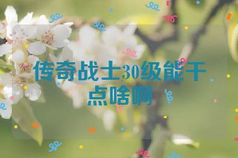 传奇战士30级能干点啥啊