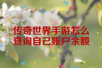 传奇世界手游怎么查询自己账户余额