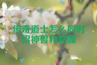传奇道士怎么同时招神兽和骷髅