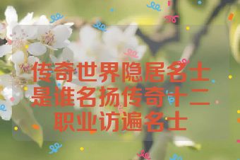 传奇世界隐居名士是谁名扬传奇十二职业访遍名士