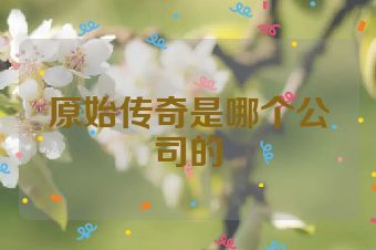 原始传奇是哪个公司的