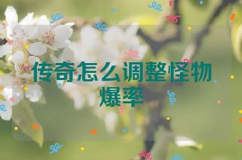 传奇怎么调整怪物爆率